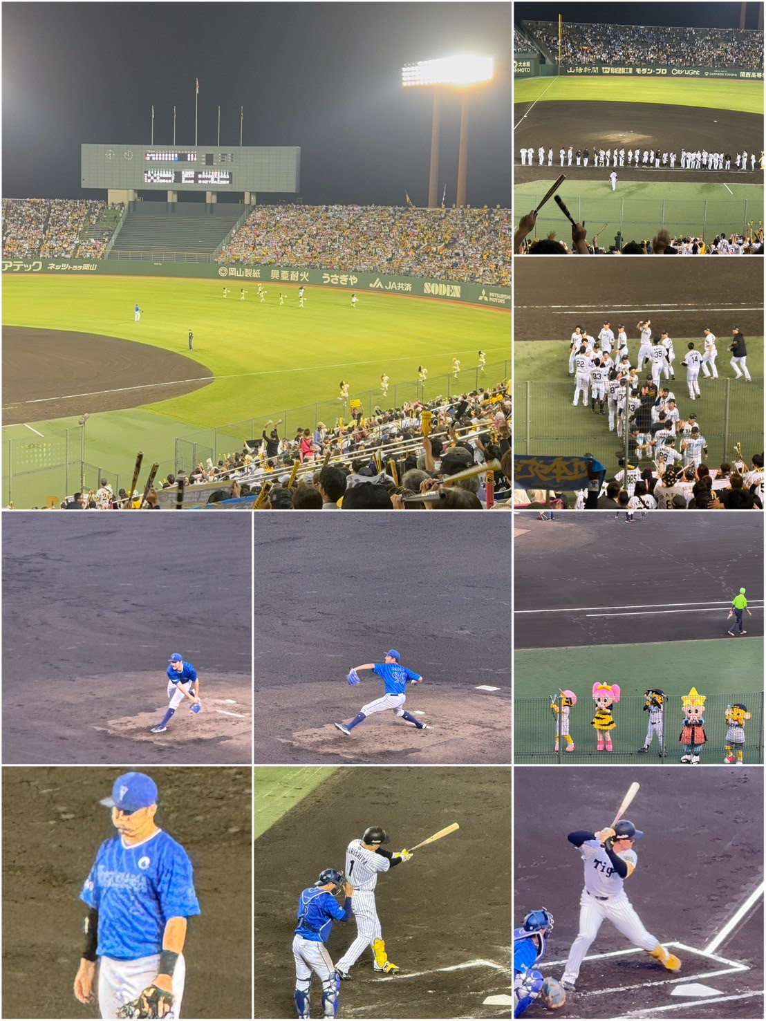 野球観戦⚾